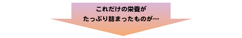 これだけの栄養がたっぷり詰まった